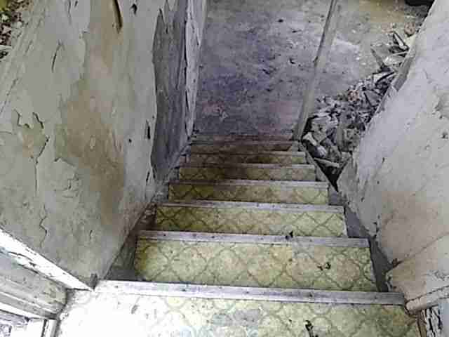 Testing again(53).jpg